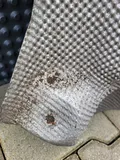 BMW F30 F31  F32 F33 F36 Hitzeblech Wärmeisolierung Tank 7241774
