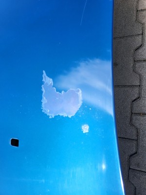 BMW Z3 Roadster Coupe Motorhaube Frontklappe Haube Pistaziengrün gold ABHOLUNG!